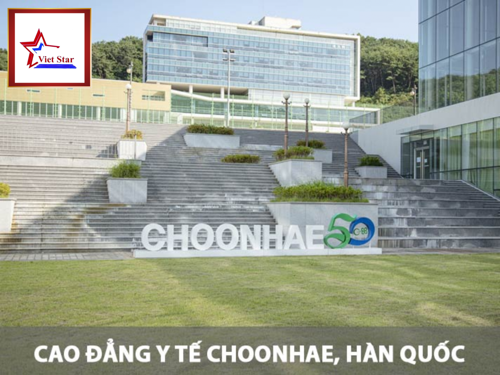 Trường Cao đẳng Y tế Choonhae College of Health Sciences