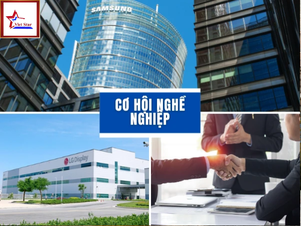 du học hàn quốc ngành kinh tế