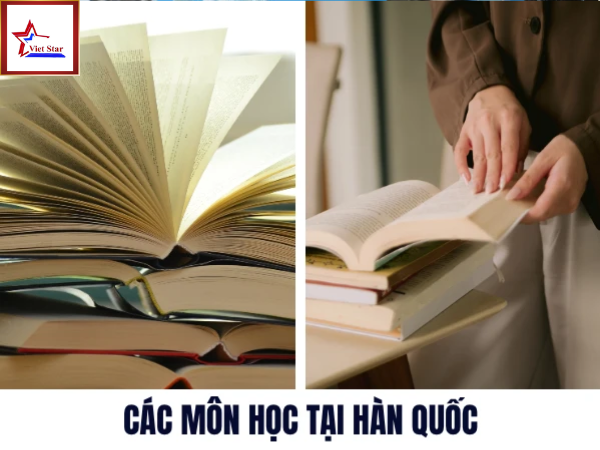học bổng du học hàn quốc ngành kinh tế