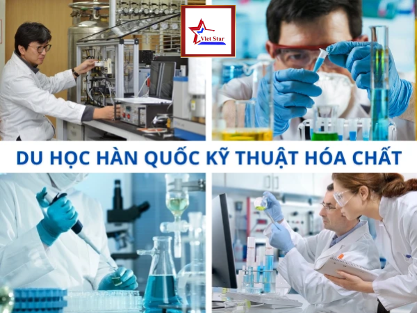 Đại học Kaist