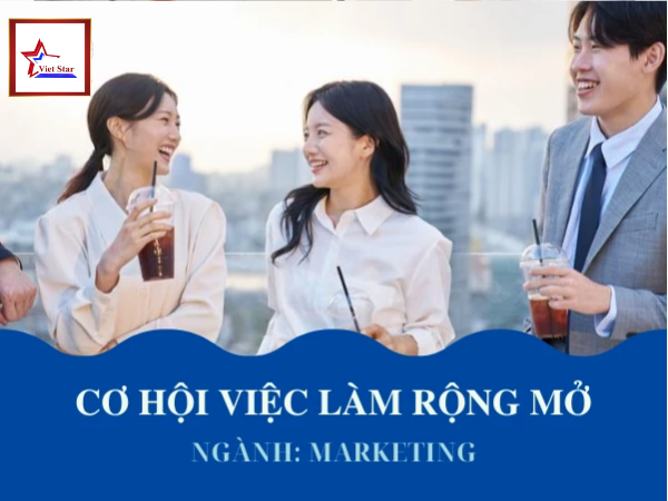 Mức lương ngành Marketing ở Hàn Quốc
