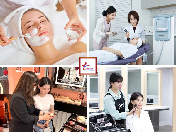 Học ngành gì dễ xin việc ở Hàn Quốc