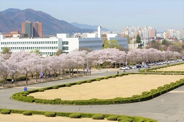 Đại Học Yeungnam - Top 10 Đại Học Quốc Tế Hàng Đầu Châu Á