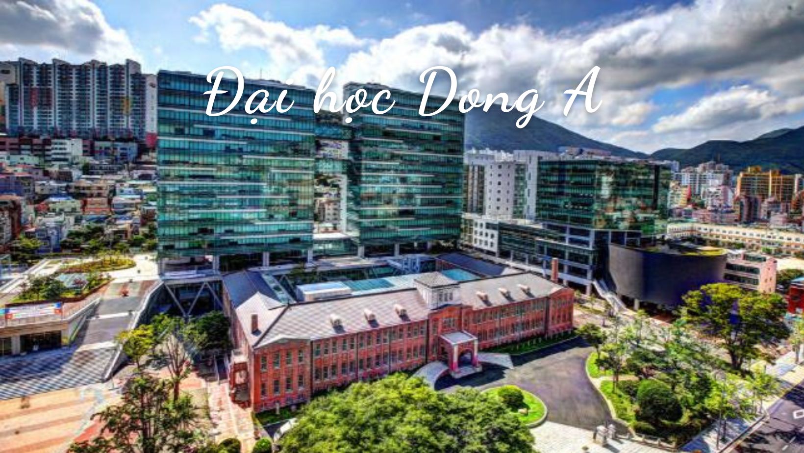 Đại học Dong A Hàn Quốc – Top Trường Đa Ngành, Học Bổng 100%, Vị Trí Đắc Địa Tại Busan, Cơ Hội Việc Làm Rộng Mở