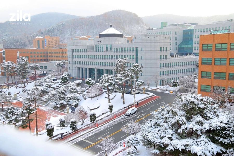 Đại học Dankook (Dankook University) – Trường Đại học Hàng đầu Hàn Quốc với Chương Trình Đào Tạo Quốc Tế Xuất Sắc