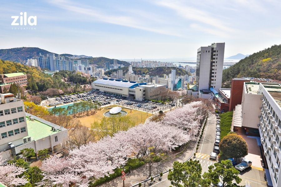 Đại học Dong-A (Dong-A University) – Trường Đại học Top đầu tại Busan với Cơ Hội Du Học và Học Bổng Hấp Dẫn