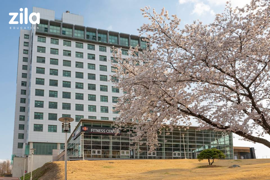  Đại học Kyungil Hàn Quốc – Trường đại học hàng đầu về Kỹ thuật, Công nghệ và Thiết kế tại Gyeongsan