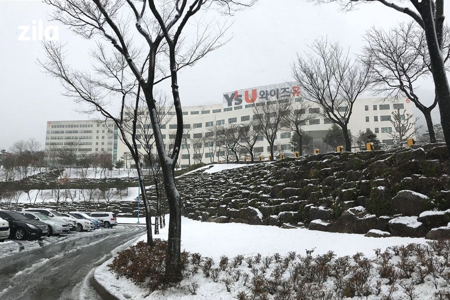 Trường Đại học Youngsan Hàn Quốc – 영산대학교