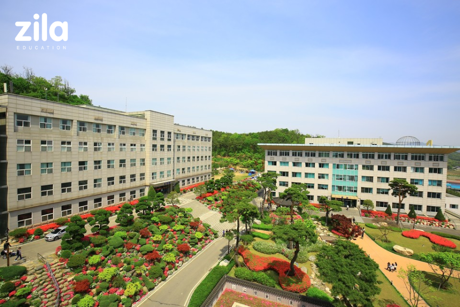 Trường Đại học Seojeong Hàn Quốc – 서정대학교