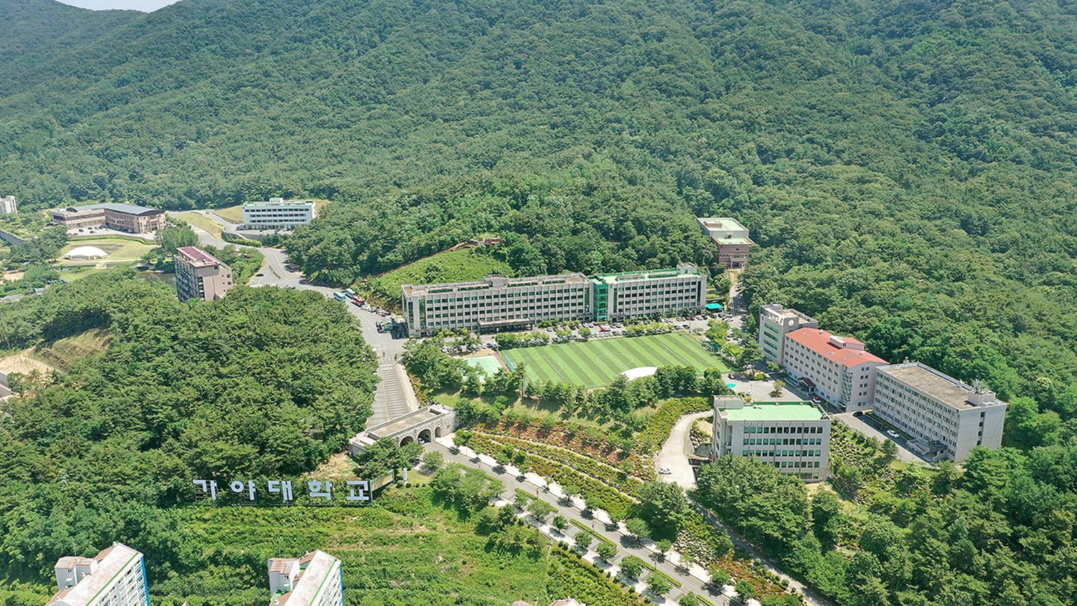 Tìm hiểu tất tần tật về Trường Đại học Kaya tại Hàn Quốc