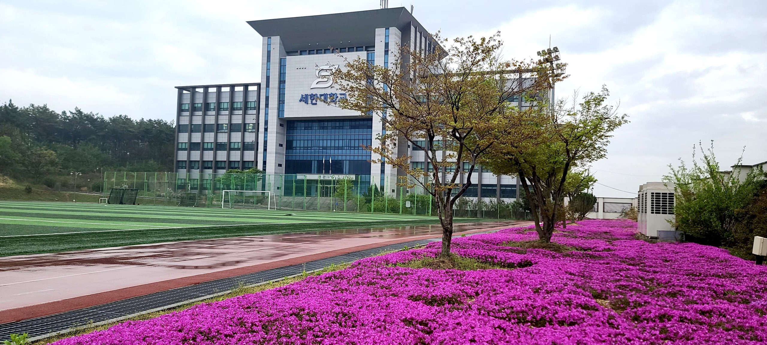 Đại học Sehan - Trường Visa thẳng đào tạo nhân tài bậc nhất Jeollanam