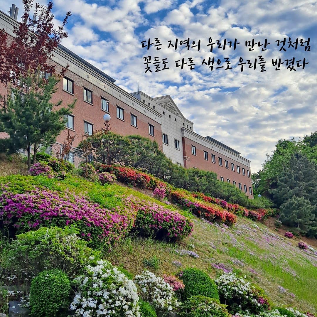 Tìm hiểu đánh giá trường Cao đẳng Yongin Songdam