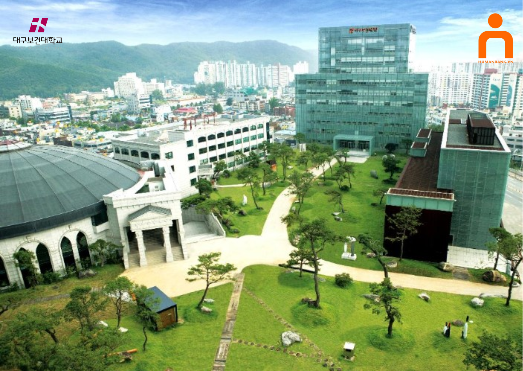 CĐ Y tế Daegu - 대구보건대학교