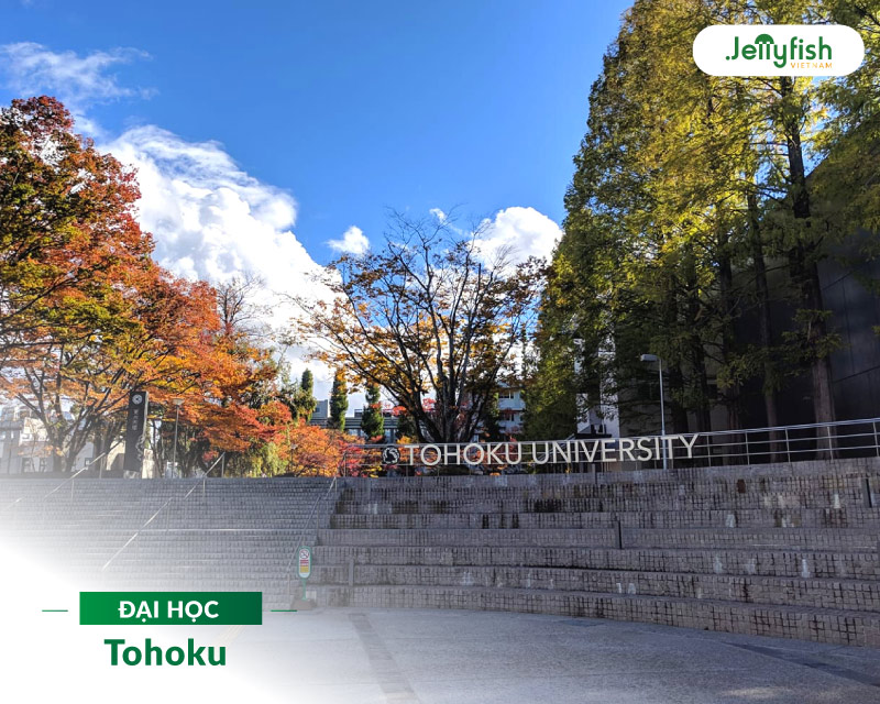 TRƯỜNG ĐẠI HỌC TOHOKU