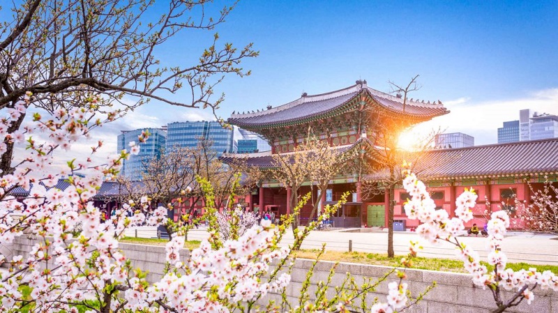Du Học Hàn Quốc 2025-2026: Chú Ý 3 Luật Mới Để Visa An Toàn