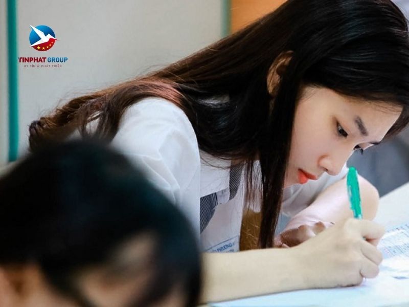 Học tốt các môn xã hội nên chọn ngành gì để du học Nhật Bản?