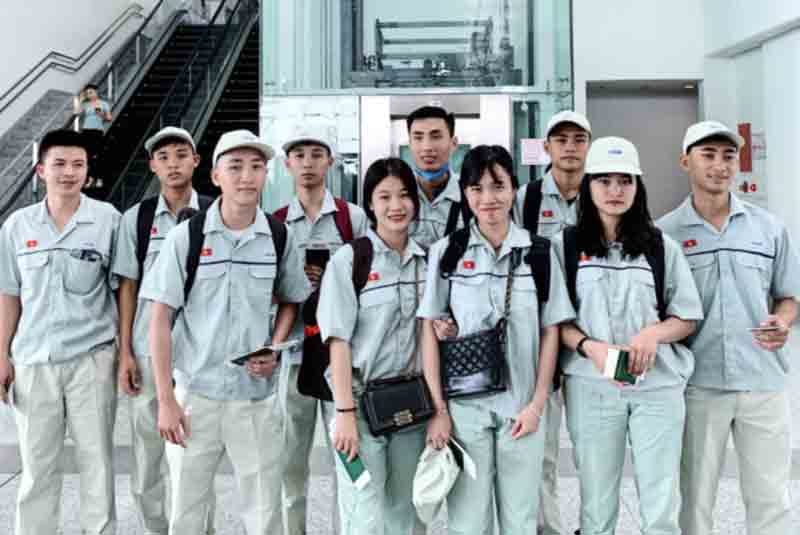 Hàn Quốc cấp phép cho phụ huynh du học sinh lao động thời vụ