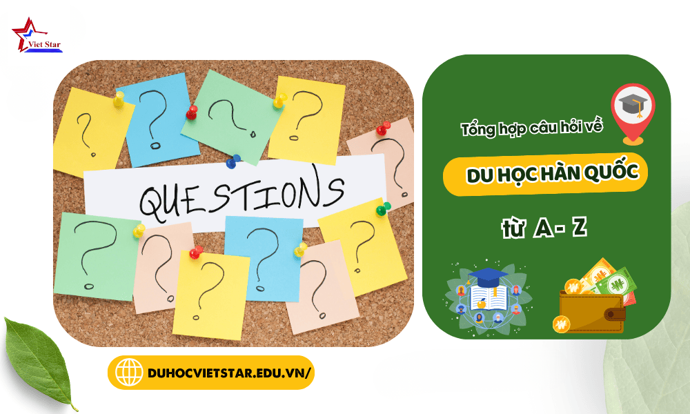 [2026] Tổng Hợp 30+ Câu Hỏi Về Du Học Hàn Quốc “Quan Trọng”