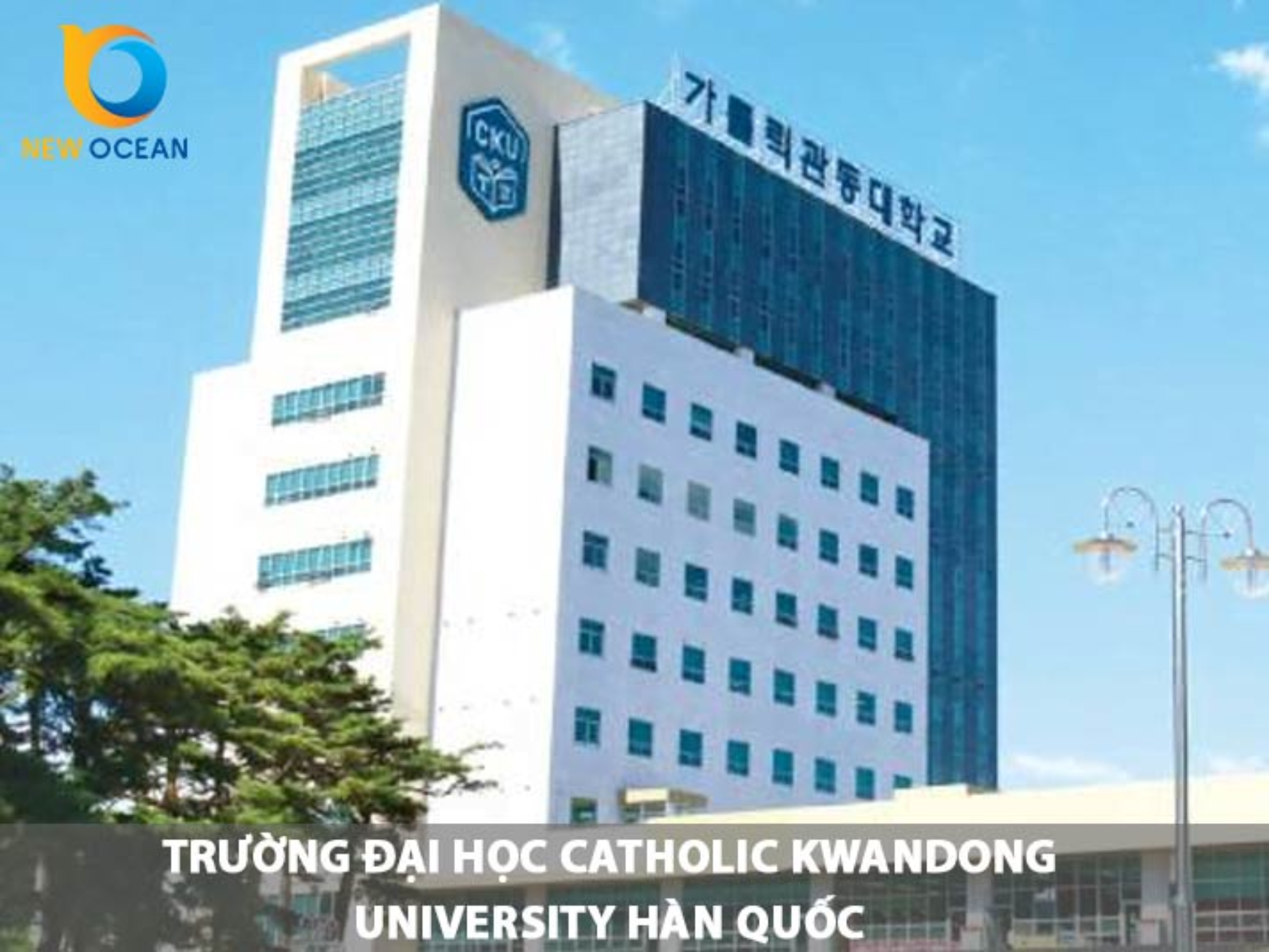 Trường Đại Học Catholic Kwandong University Hàn Quốc