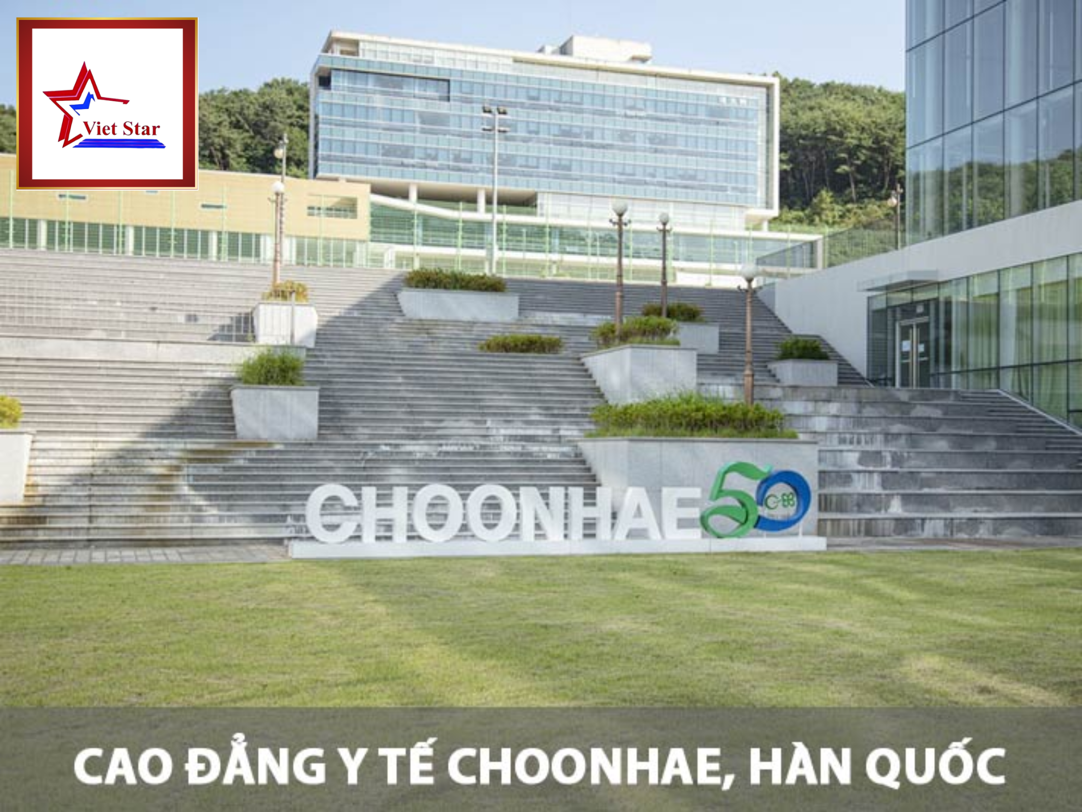 Trường Cao Đẳng Y Tế Choonhae College Of Health Sciences