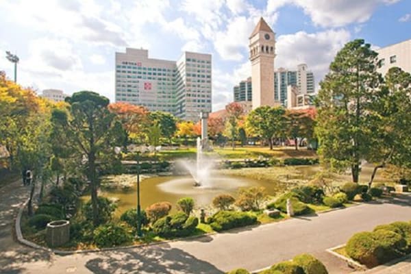 Trường Đại Học Sejong, Hàn Quốc