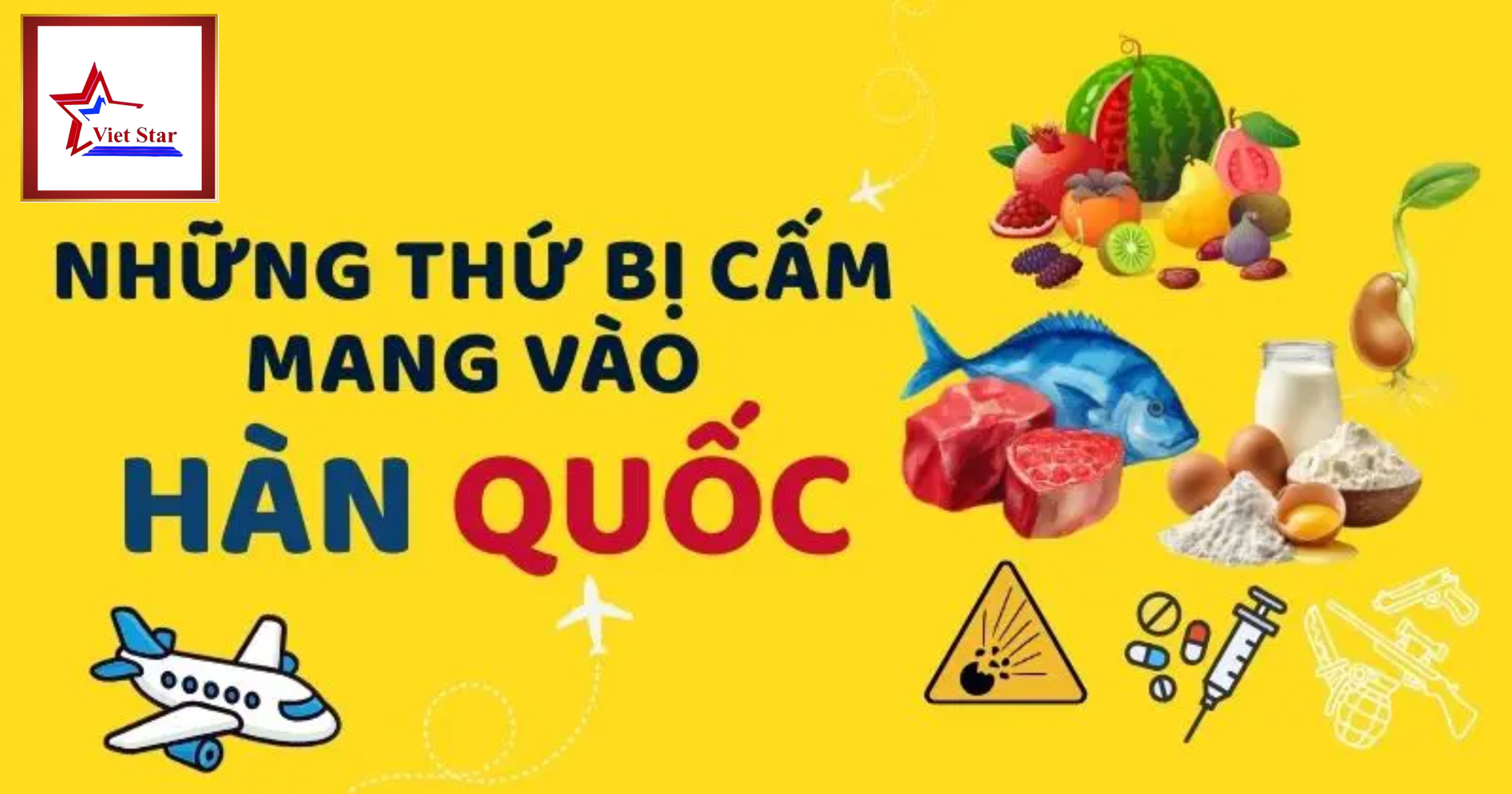 Những Thứ Bị Cấm Mang Vào Hàn Quốc