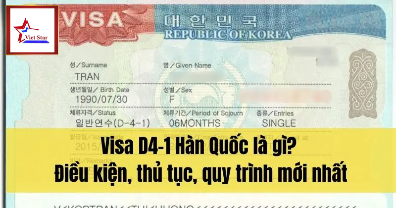 Visa D4-1 Là Gì? Điều Kiện, Thủ Tục, Quy Trình MỚI NHẤT 2026