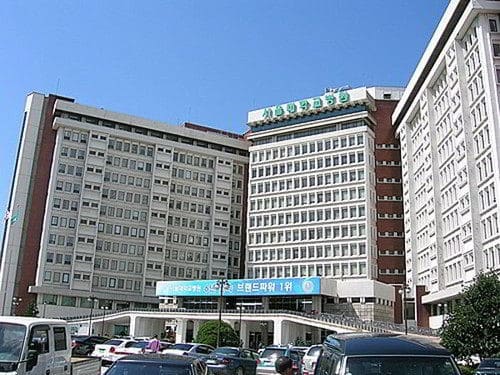 Học Bổng Trường Đại Học Quốc Gia Seoul 2026: Điều Kiện, Giá Trị & Cách Nộp