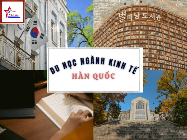Du Học Ngành Kinh Tế Ở Hàn Quốc Cùng Du Học Việt Star