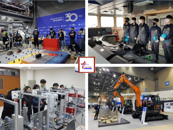 Học Ngành Gì Dễ Xin Việc Ở Hàn Quốc​ Năm 2026?