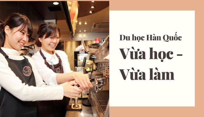 Kinh nghiệm du học Hàn Quốc vừa học vừa làm: điều kiện, tổng chi phí, chọn ngành,…