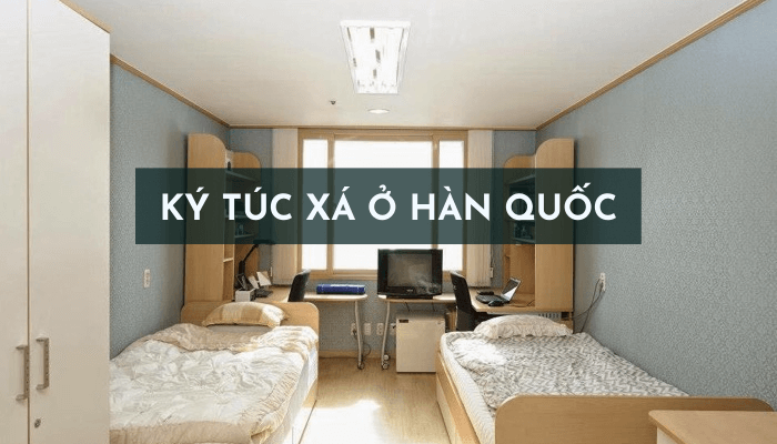 6 Ưu điểm khi lựa chọn ký túc xá ở Hàn Quốc năm 2026