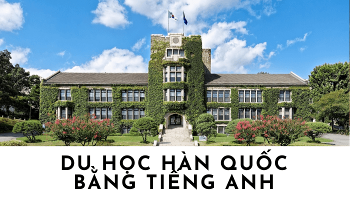 [2026] Du học Hàn Quốc bằng tiếng Anh: Ưu nhược điểm, điều kiện chọ trường