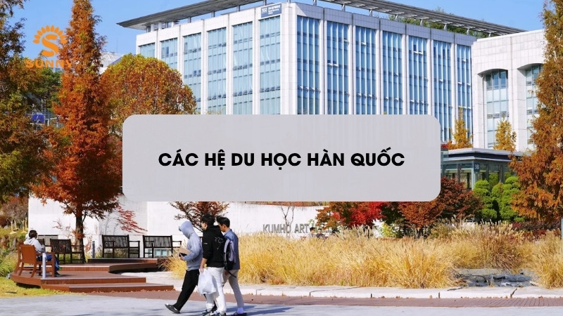 Các hệ du học Hàn Quốc, hình thức du học nào phù hợp với sinh viên Việt Nam?