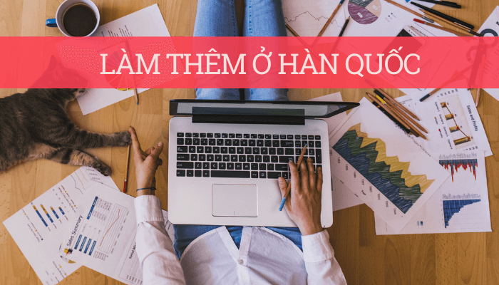 4 quy định về làm thêm ở Hàn Quốc mà du học sinh cần biết